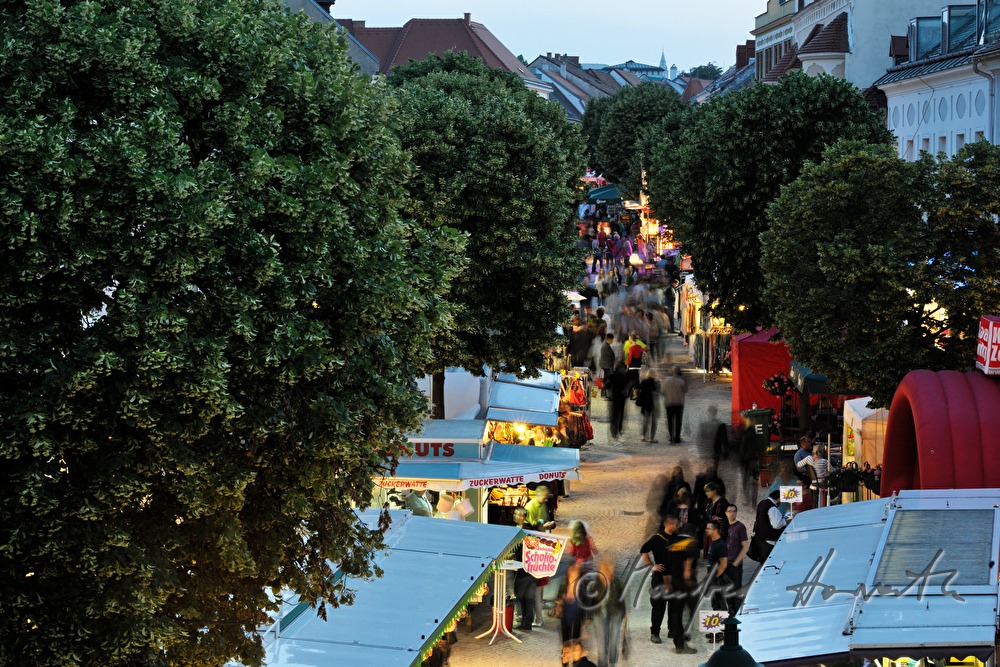 Lindenallee zwischen den Bürgerhäusern