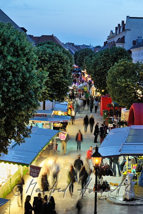 Lindenallee zwischen den Bürgerhäusern