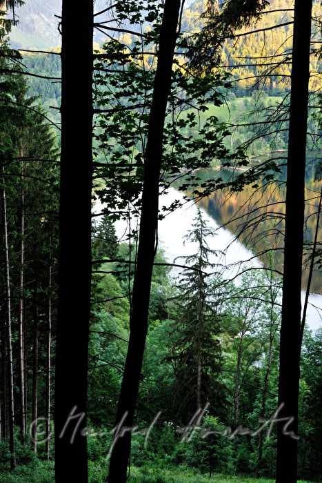 Lunzer See vom Maiszinken