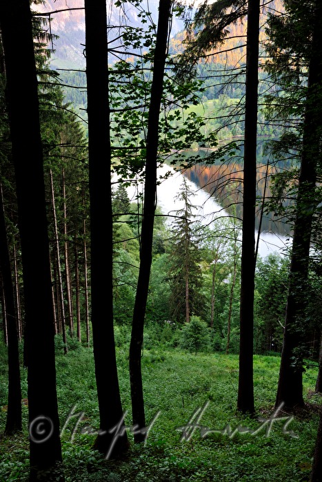 Lunzer See vom Maiszinken