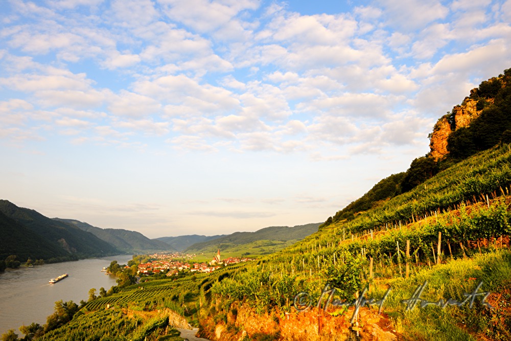 Blick von Riede Klaus auf die Donau