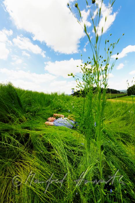 der Lein-Bauer Stefan Fölser im blühendes Leinfeld