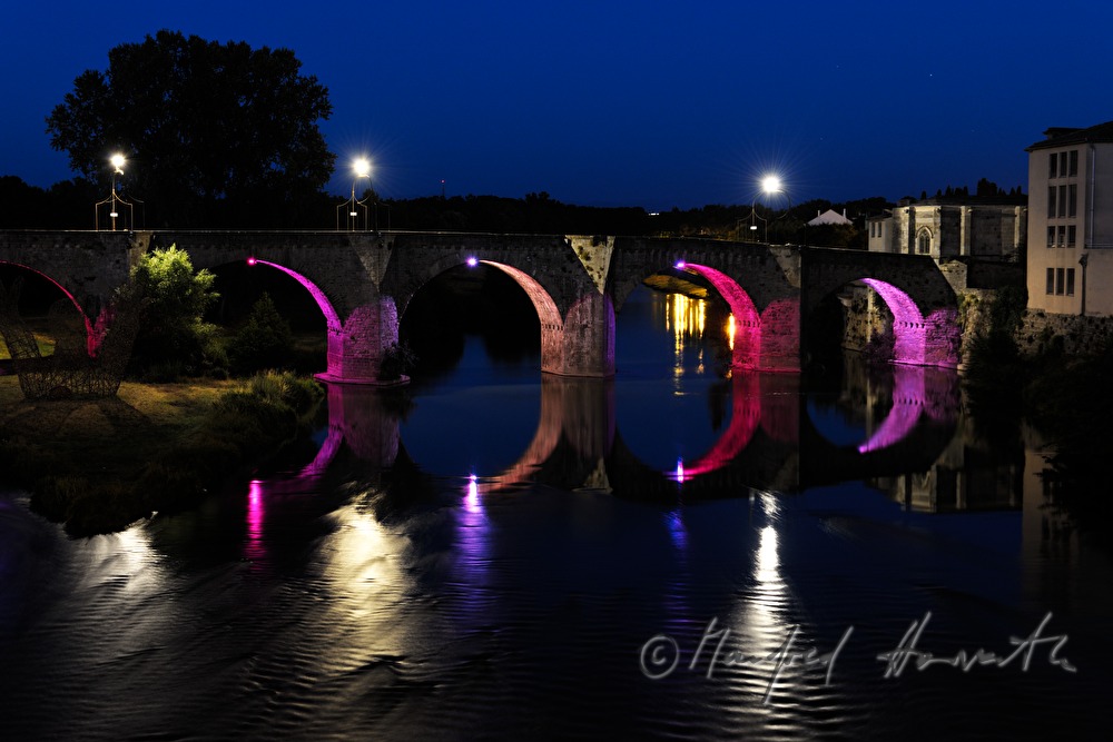 Cité von Carcassonne mit mittelalterlichen Brücke