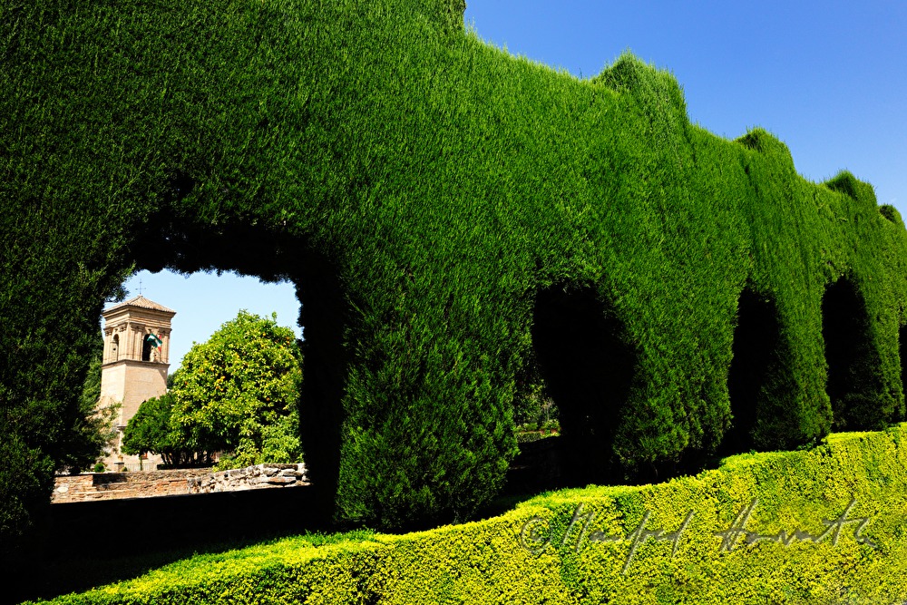 Hecke in der Gartenanlage (Heckengarten)