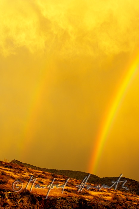 Doppelregenbogen nach einem Gewitter