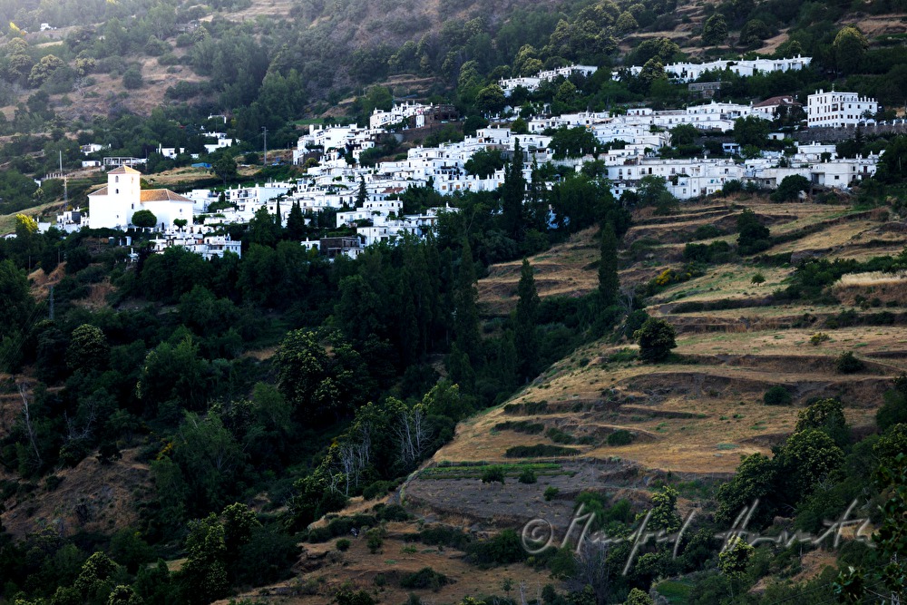 weisses Dorf in der Serranía de Ronda