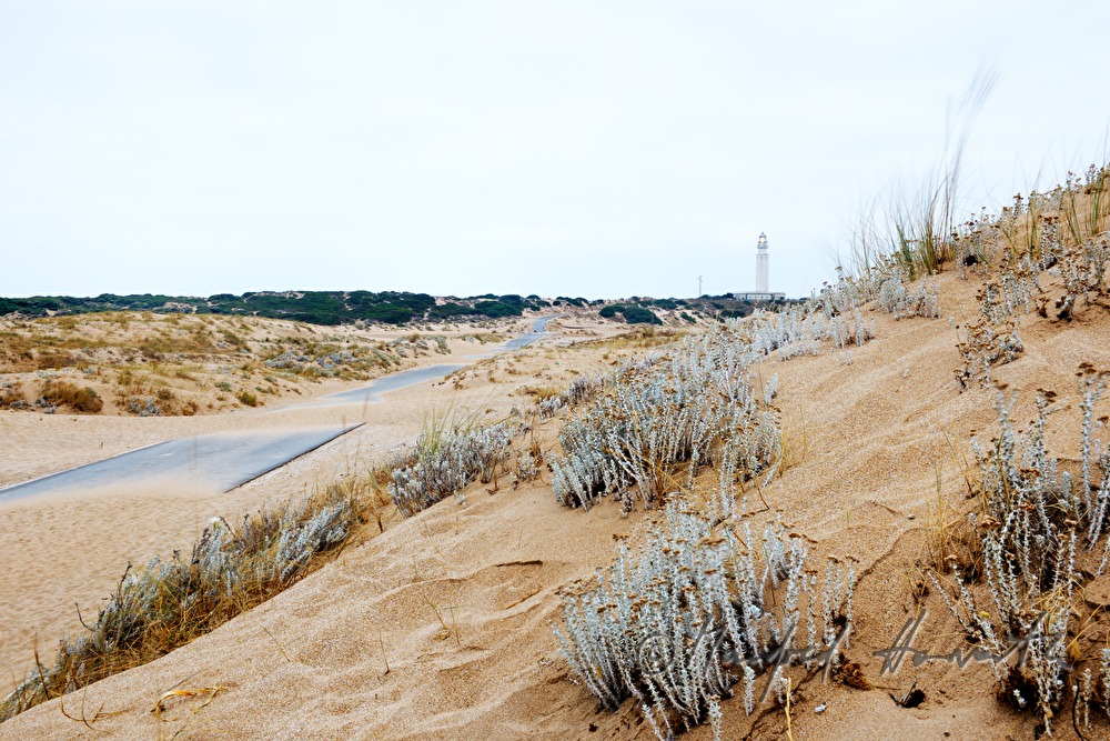 Leuchtturm von Barbate und wandernde Sanddüne