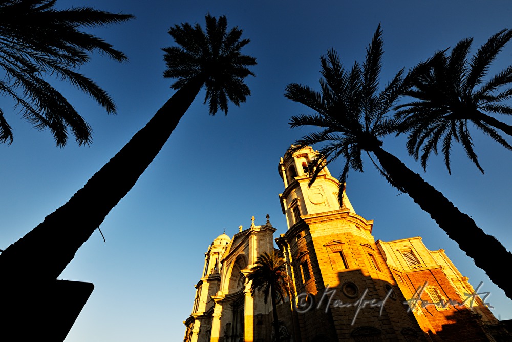 Catedral de la Santa Cruz de Cádiz