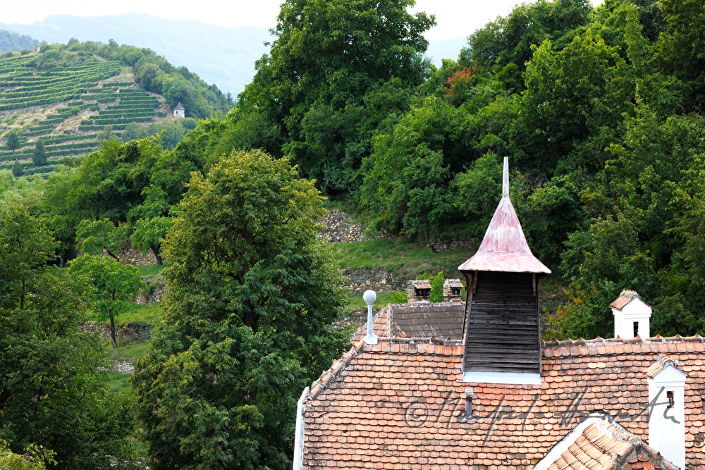 Dach des Hotel Mariandl und Weinberge