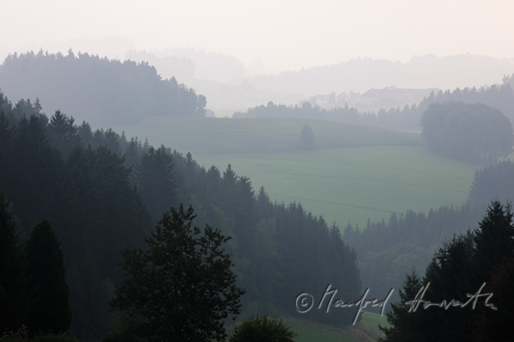 Blick von Hartmannsdorf nach Osten