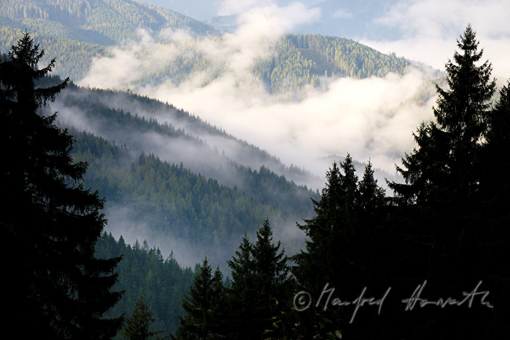 Blick aus dem Nadelwald ins Mariazellerland