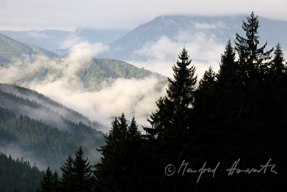 Blick aus dem Nadelwald ins Mariazellerland