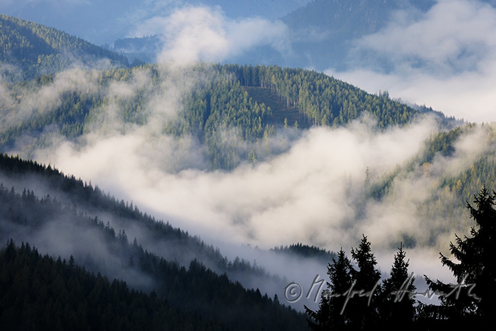Blick aus dem Nadelwald ins Mariazellerland