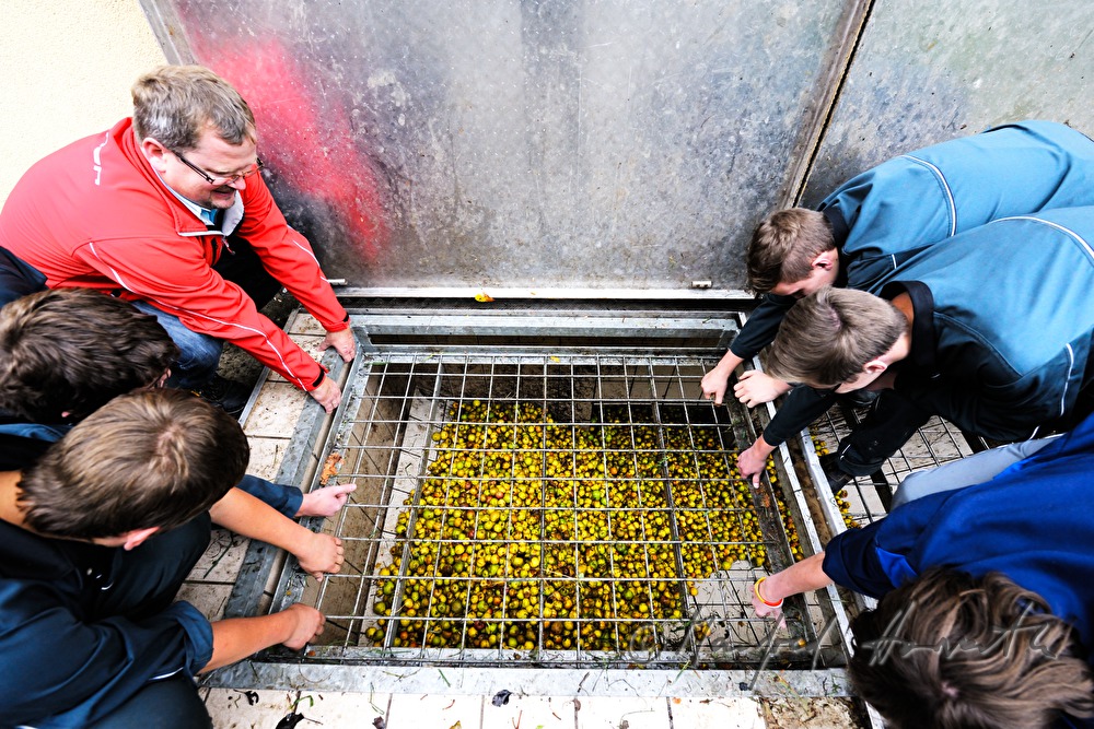 Schüler der Landwirtschaftsschule beim Birnenschacht