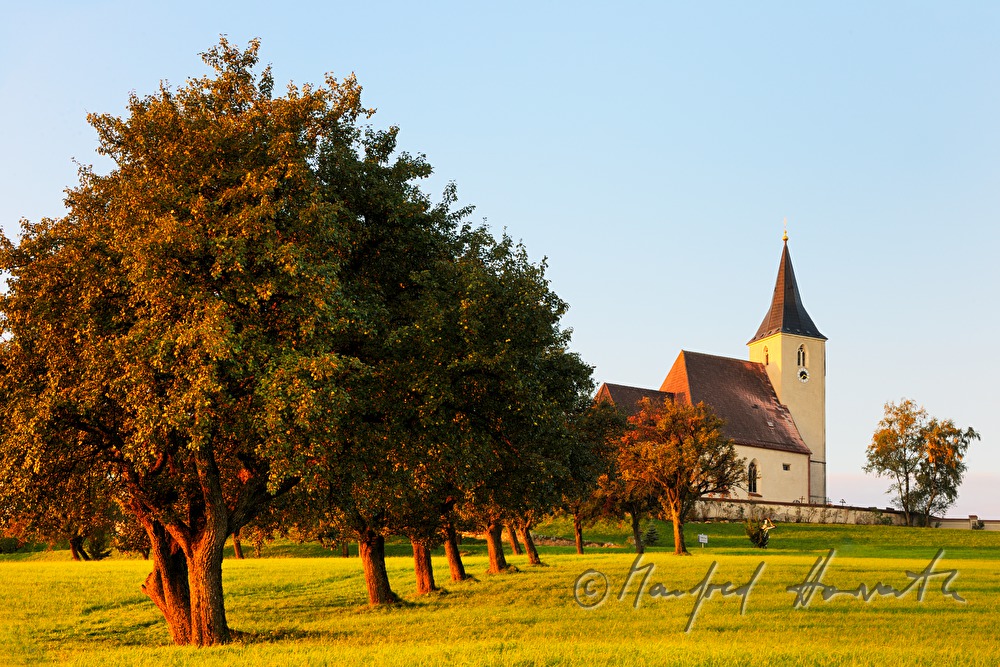 Kirche und Allee mit Birnenbäumen (Streuobstwiese)