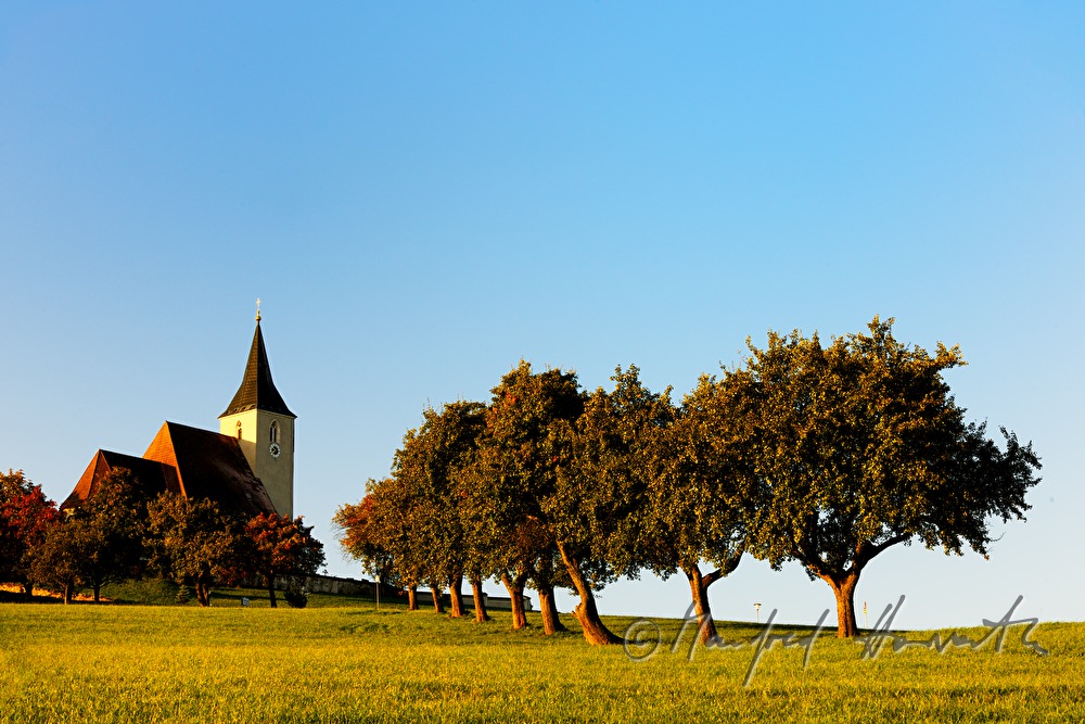 Kirche und Allee mit Birnenbäumen (Streuobstwiese)