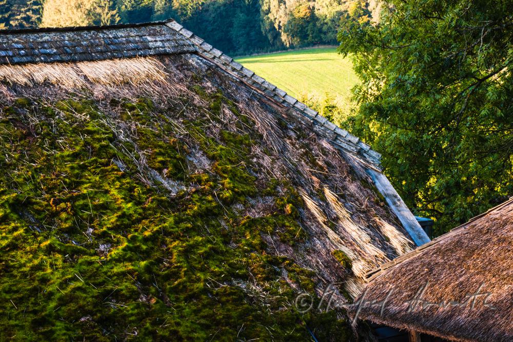 Bauernhaus mit Strohdach