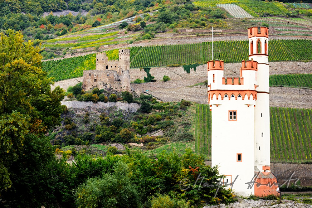 Binger Mäuseturm auf der Mäuseturminsel im Rhein