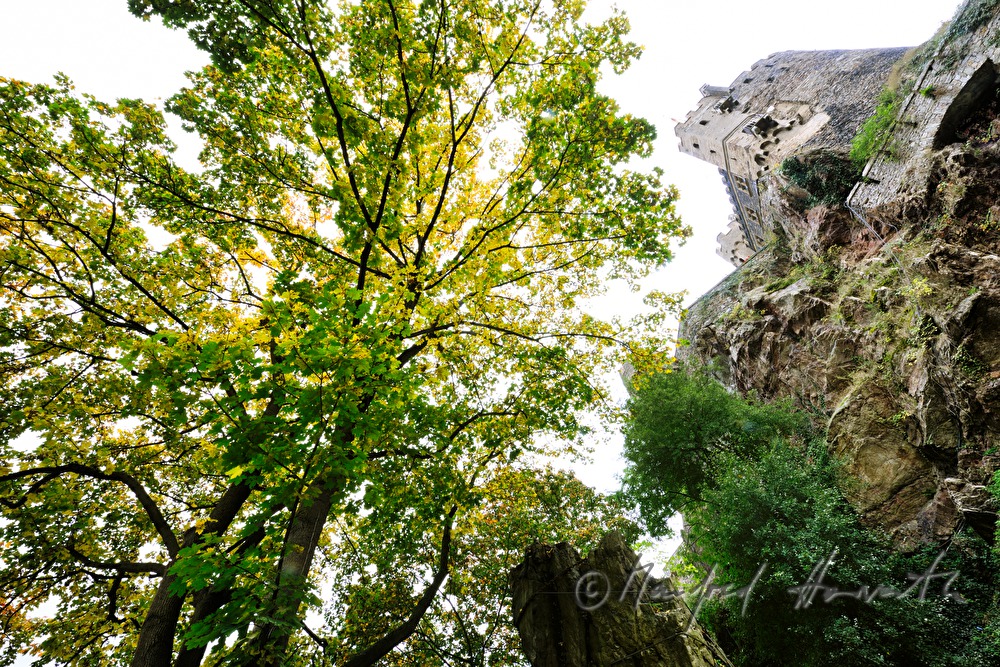 Felsen und Turm von Burg Rheinstein