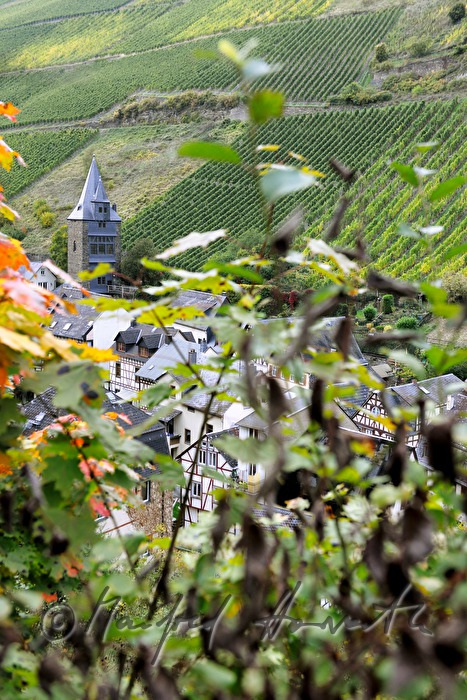 Altstadt und Weinberge