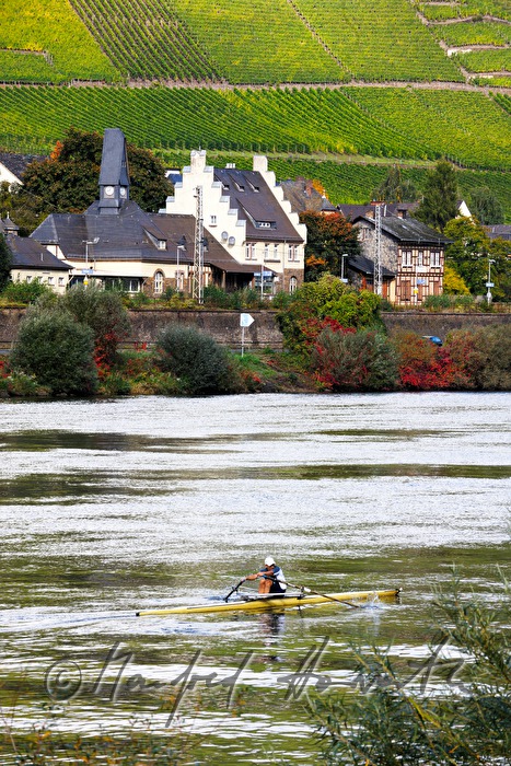 Ruderer auf der Mosel vor dem Bahnhof des Weinortes
