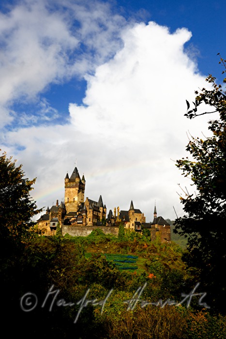Reichsburg Cochem auf der Spitze eines Weinberges