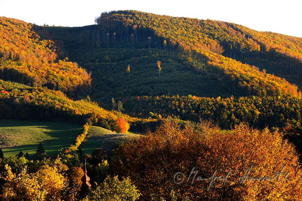 Landschaft bei Alland und Klausen-Leopoldsdor