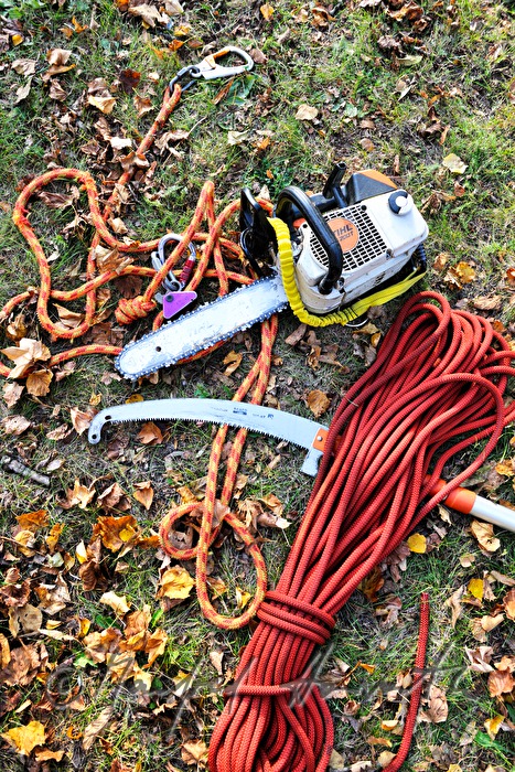 Säge und Kletterseil des Baumpflegers