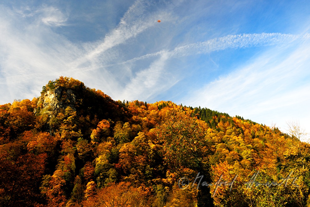 Felsnadel Sarmingstein im Gloxwald