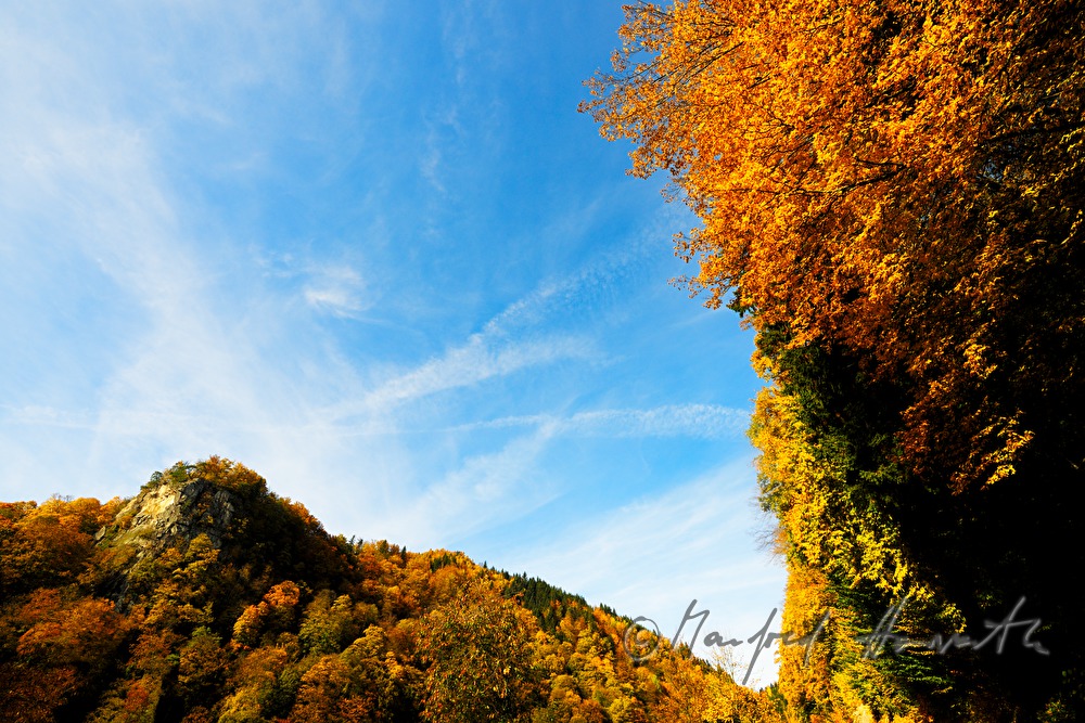 Felsnadel Sarmingstein im Gloxwald