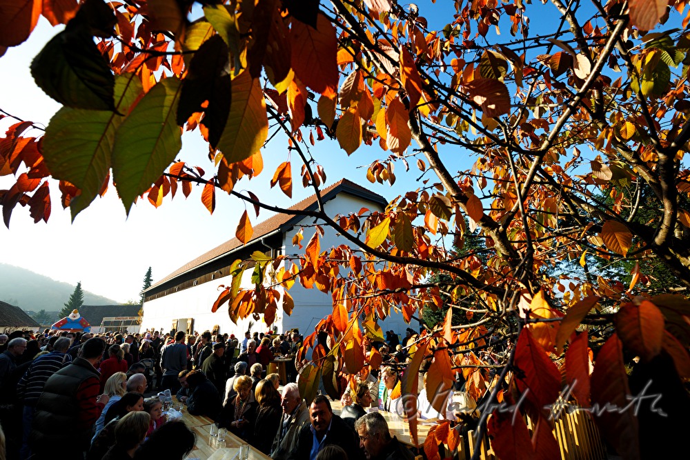 vollbestzter Gastgarten bei Kastanienfest im Kloster