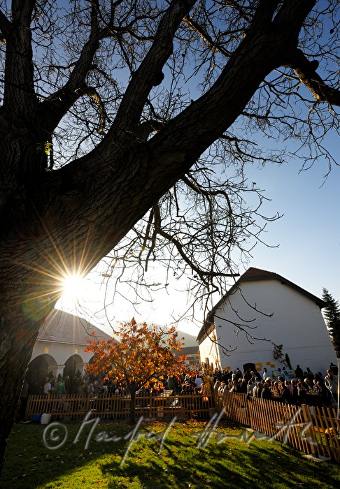 vollbestzter Gastgarten bei Kastanienfest im Kloster