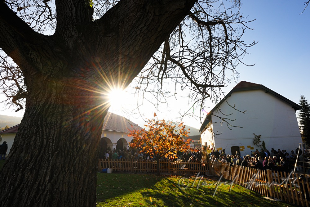 vollbestzter Gastgarten bei Kastanienfest im Kloster