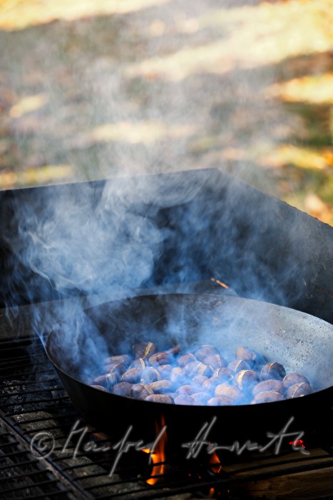 Maronibraten beim Kastanienfest im Wald