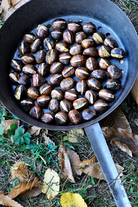 Maronibraten beim Kastanienfest im Wald