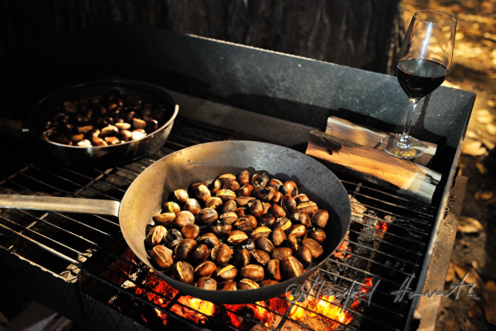 Maronibraten beim Kastanienfest im Wald