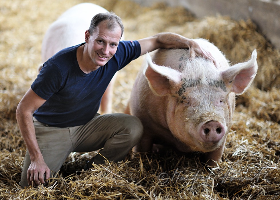 der Bauer und Firmengründer Franz Habel in seinem Schweinestall