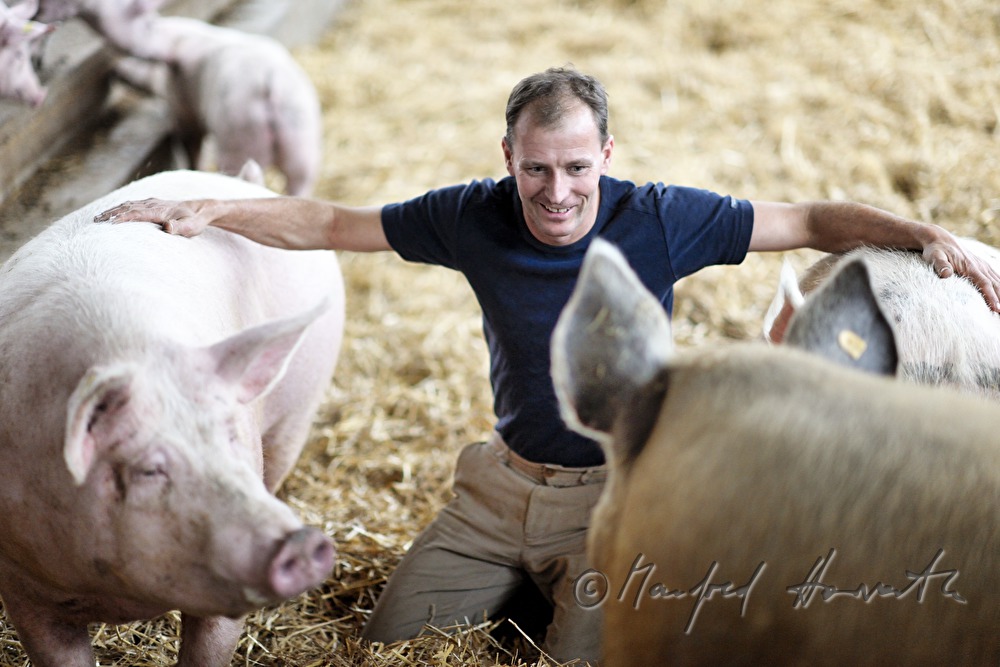 der Bauer und Firmengründer Franz Habel in seinem Schweinestall