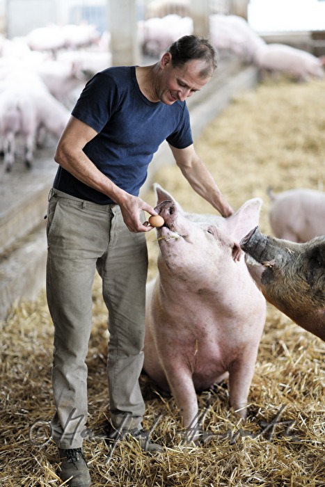 der Bauer und Firmengründer Franz Habel in seinem Schweinestall