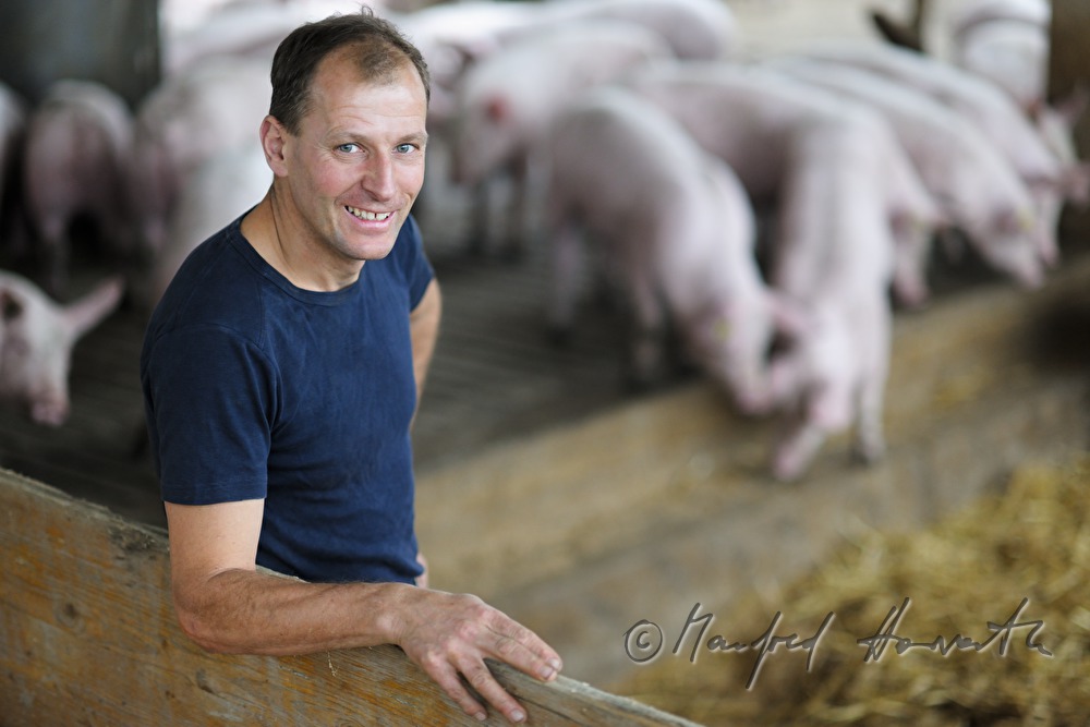 der Bauer und Firmengründer Franz Habel in seinem Schweinestall