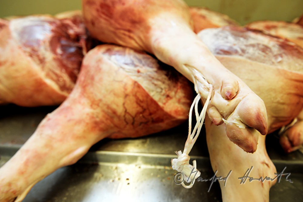 frische Schweinekeulen für die Schinkenerzeugung
