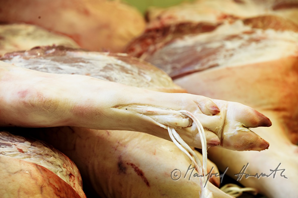 frische Schweinekeulen für die Schinkenerzeugung