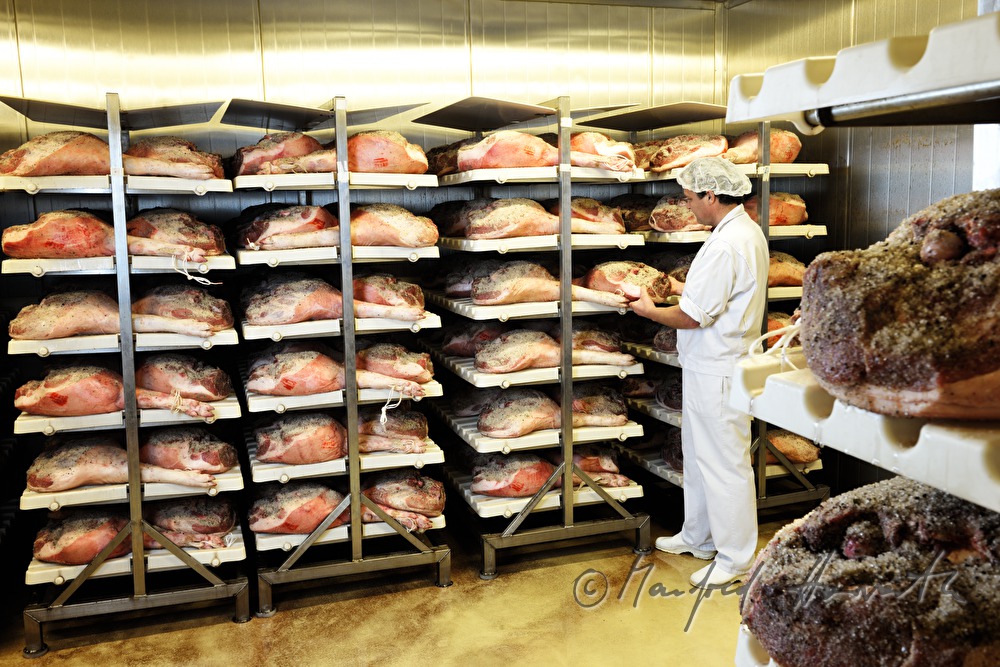 Fleischermeister prüft eingesalzene Schweineschlögel im Trockenraum