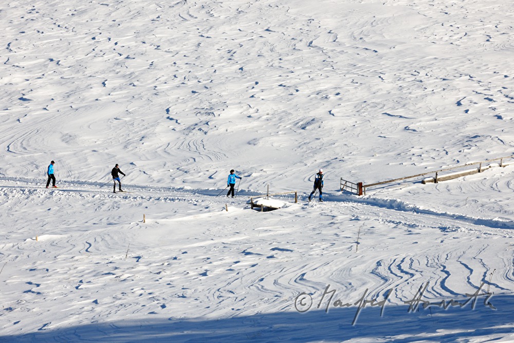 Panoramaloipe Wechsel - Semmering