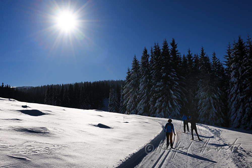 Panoramaloipe Wechsel - Semmering