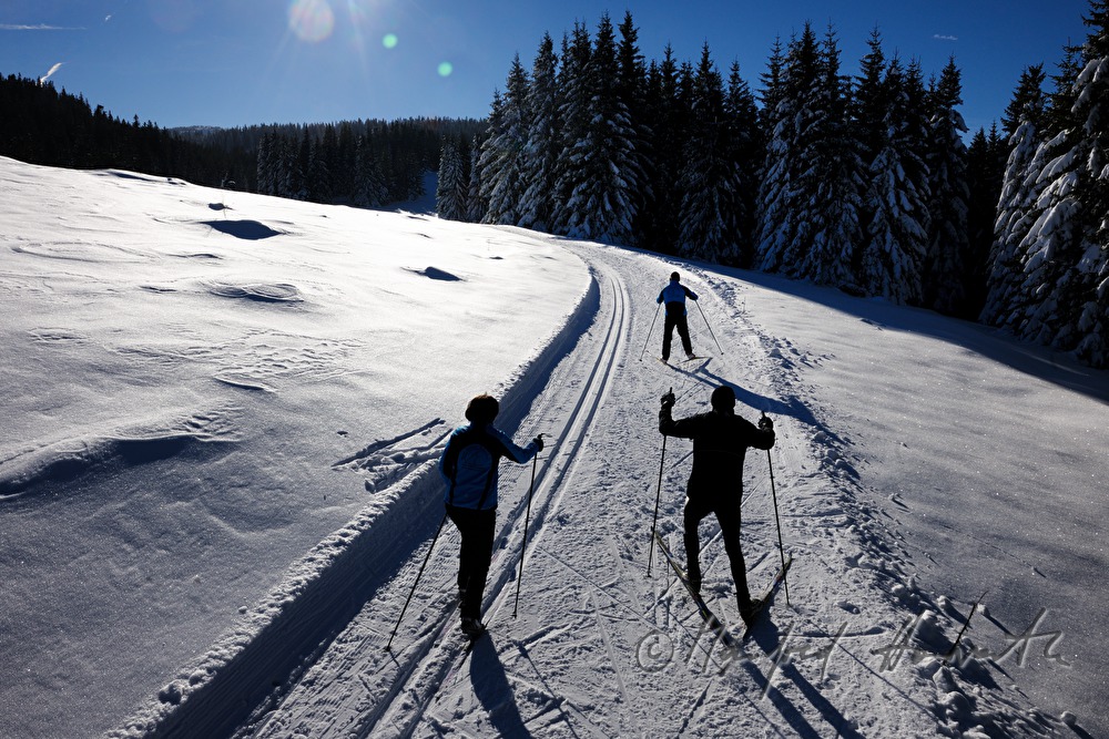 Panoramaloipe Wechsel - Semmering