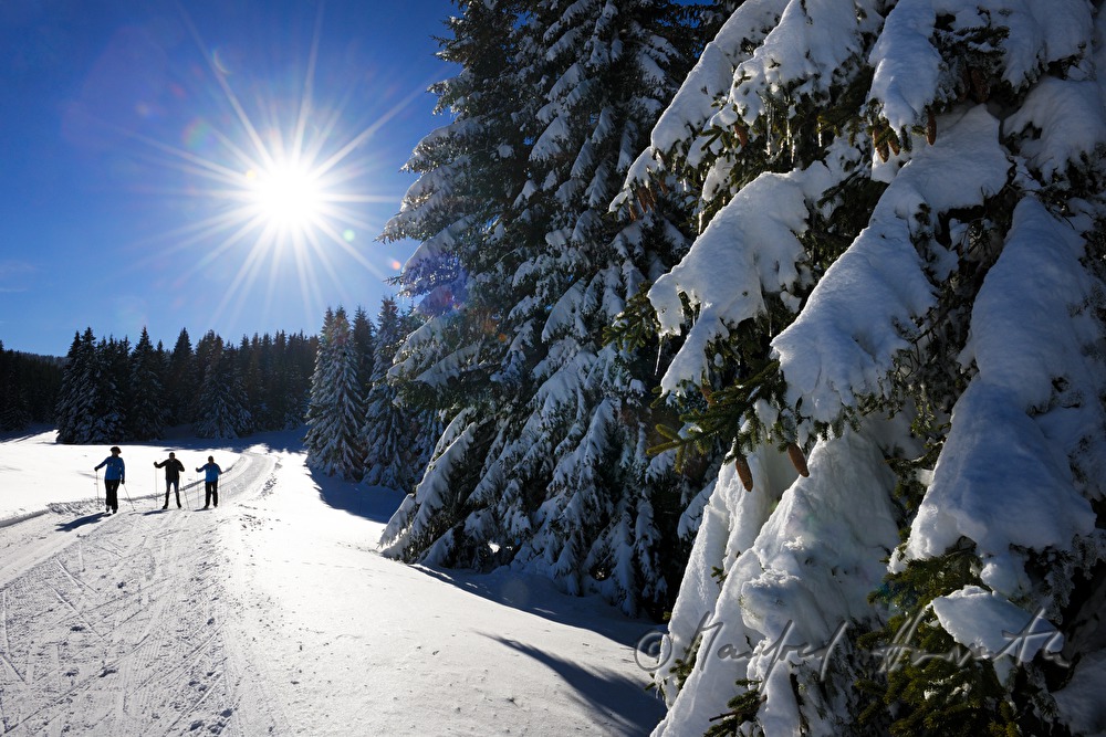 Panoramaloipe Wechsel - Semmering