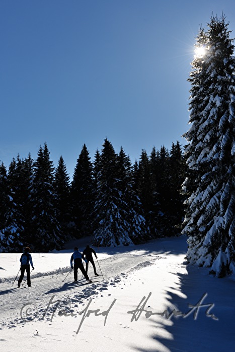 Panoramaloipe Wechsel - Semmering