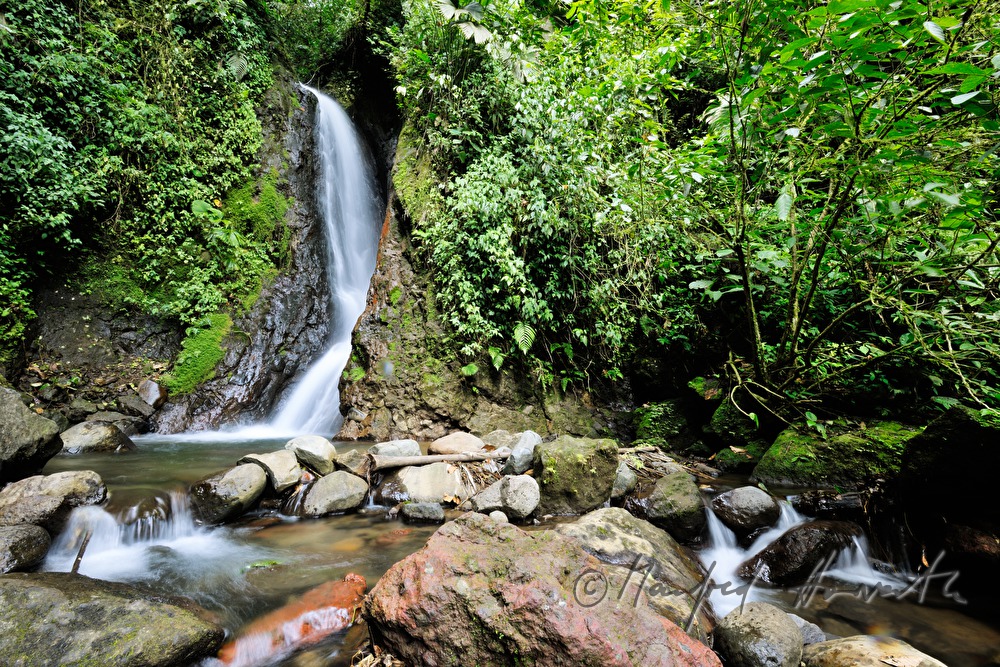Wasserfall bei den Arenal Hängebrücken