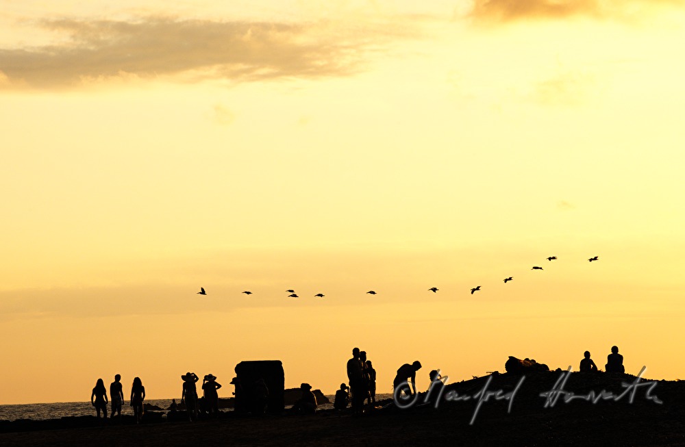 Strandbesucher bei Sonnenuntergang und Zug Wildgänse